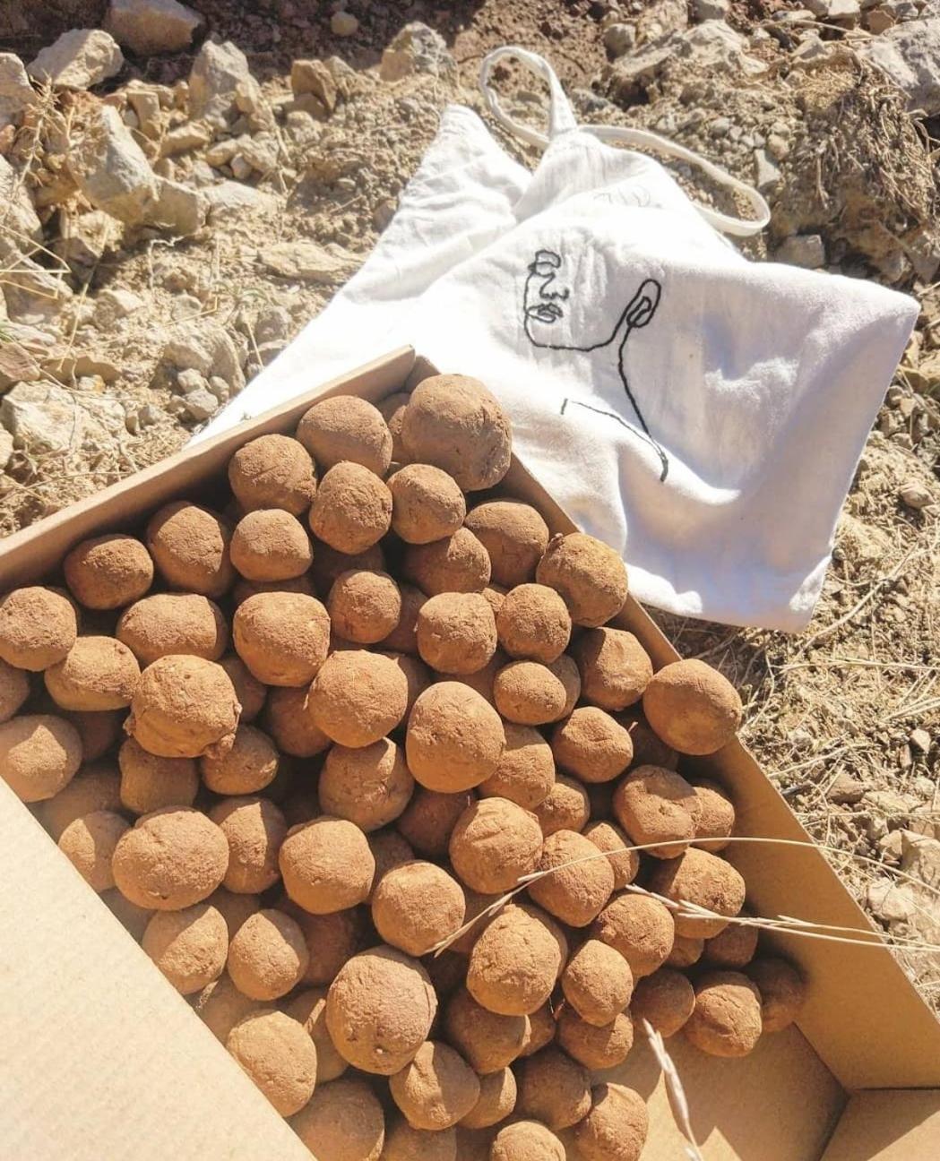 شقة Guara Viva Abiego المظهر الخارجي الصورة